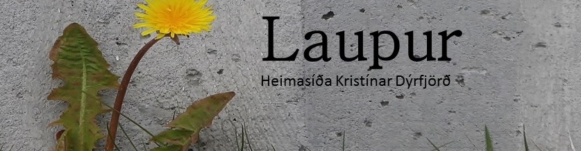 Kristín Dýrfjörð