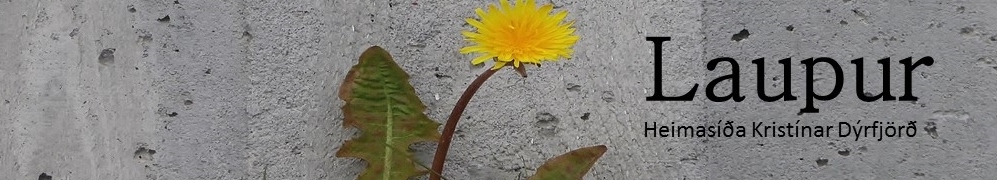 Kristin Dýrfjörð