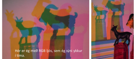 Hvernig lesið er fyrir leikskólabörn í norrænum leikskólum